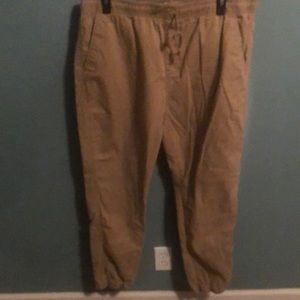 These are khaki colored, elastic at the waist and elastic at the ankle pants.